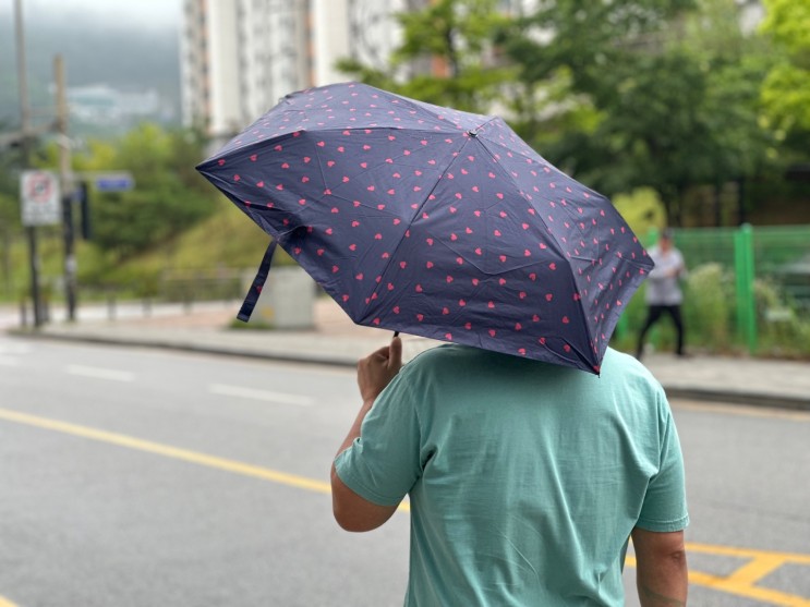 크로커다일 3단 큐피트 UV양산 초경량 우양산