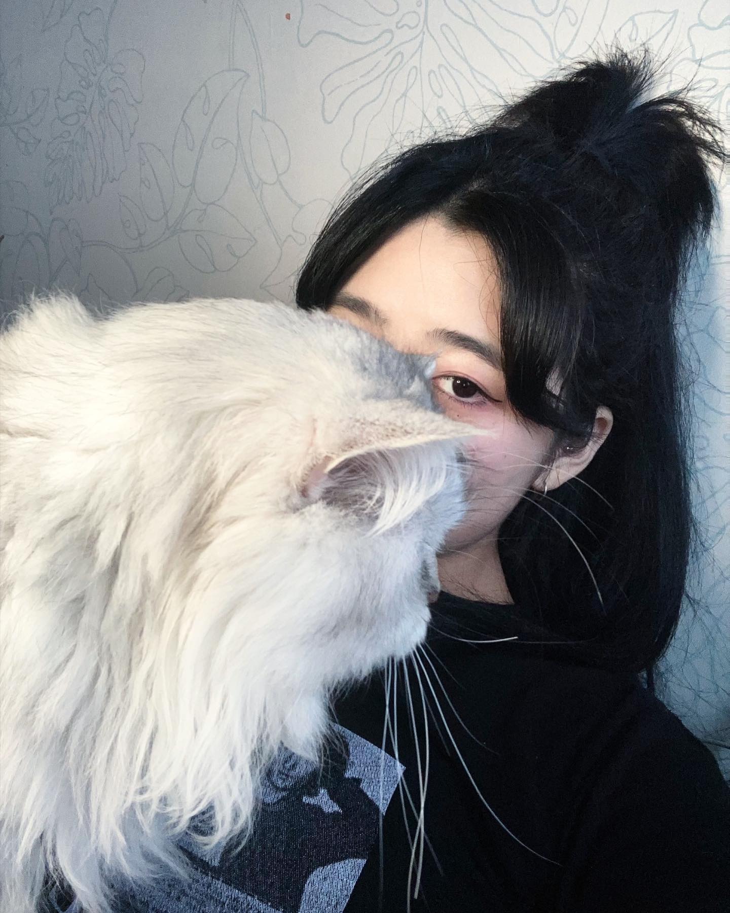 콘텐츠