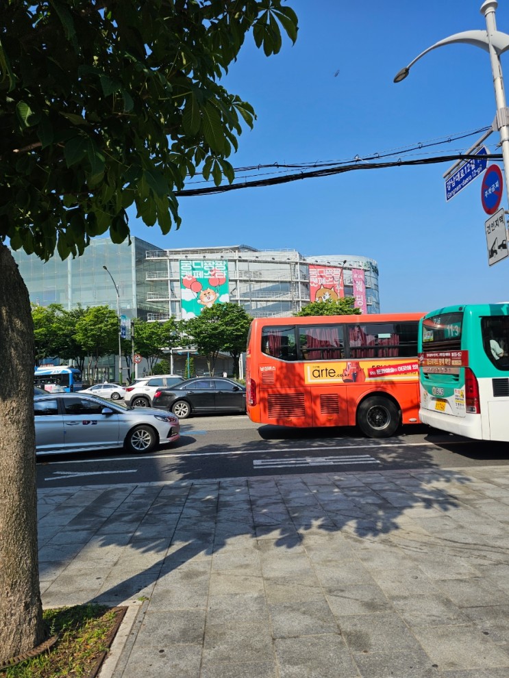 [경기/양재] AT센터 궁디팡팡 캣페스타 후기