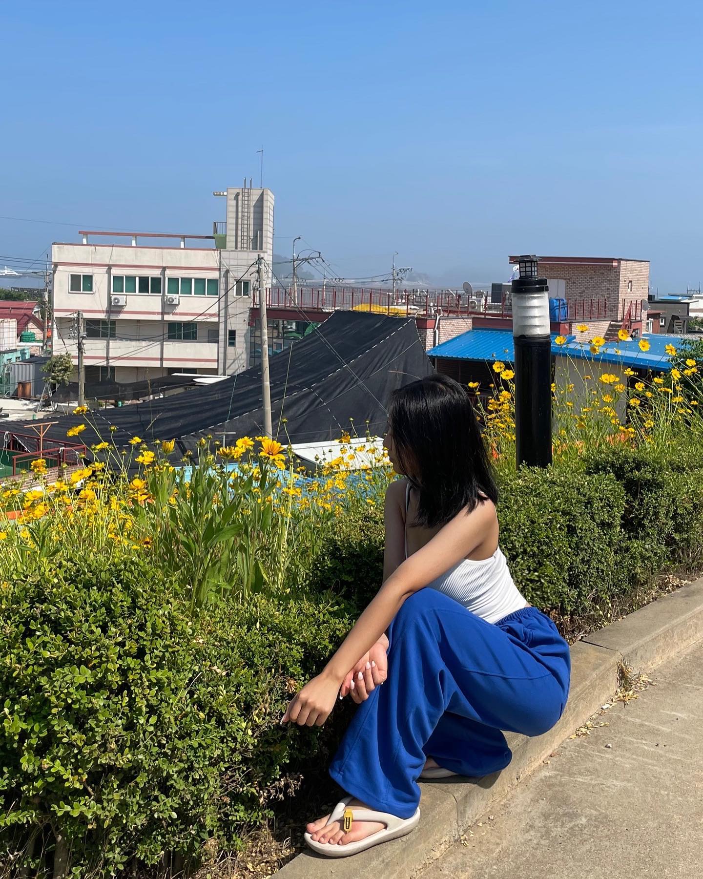 즐거운 연평도 🏝️