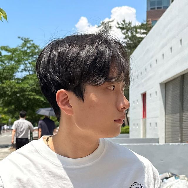 애프리콧 APRYCOT on Instagram: "#협찬 @standarderror_official 고품질 원단을 이용하여 국내 자체 제작 ㄴ 면100% 패브릭 ㄴ 자사에서 개발한 편직 공정에 코마사실 사용 ㄴ 면사 중 최고급인 컴팩사를