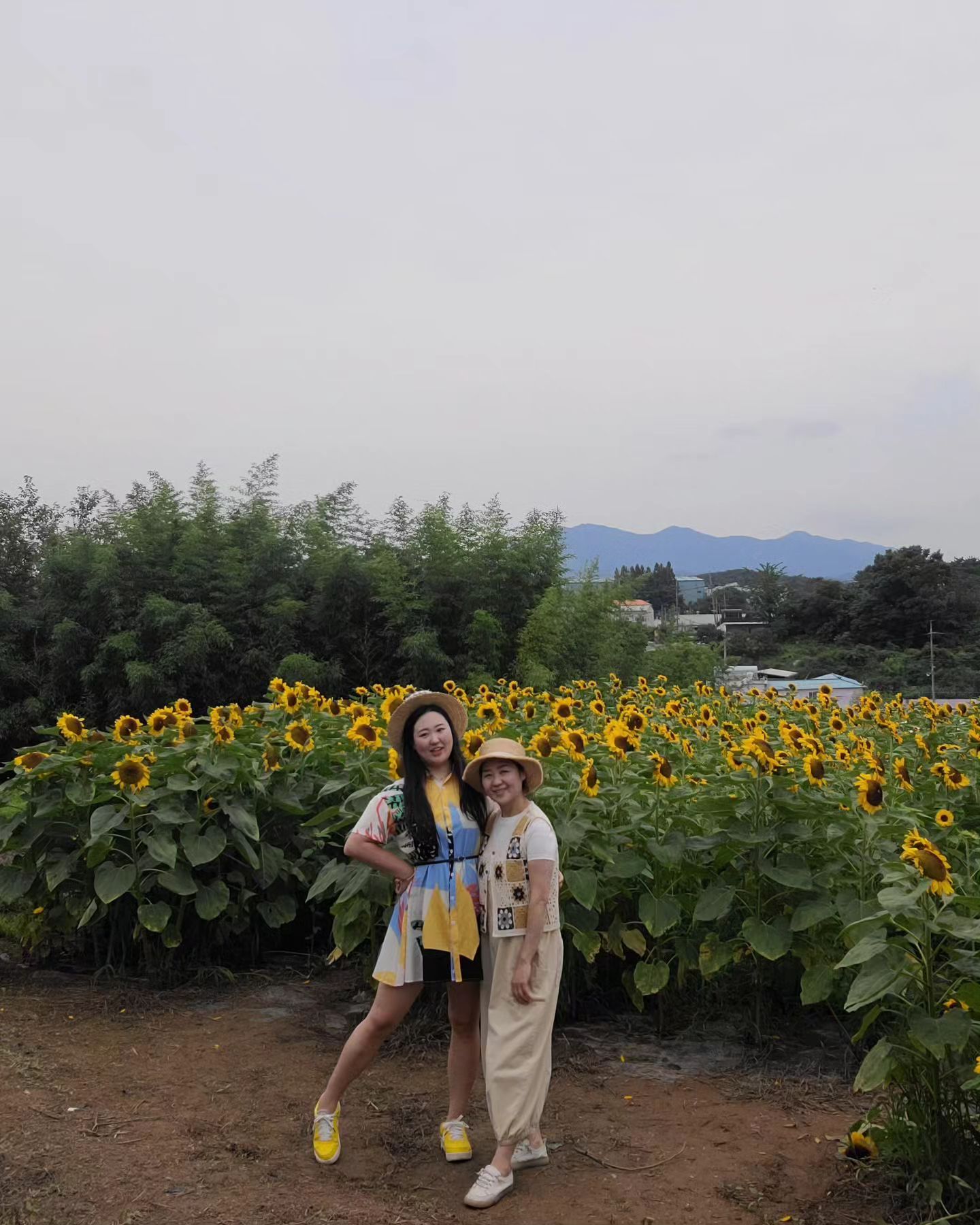 작품명 : 고목나무의 매미🌻🌻

꽃을 좋아하는 슈기를위한 23년 컨셉은 꽃축제 여행
7년전인가... 낙떠니랑 강주마을첨가보고 
이런데도다있냐며 나혼자좋은구경하고 이쁜꽃들만 찍어가서
마음이 속상했는데, 그래도 지금은 엄마를데리고
공유할수있어서 너무 기분이좋다 🌻
해바라기집게핀... 어제부터 식당마다사람들이 다 꽂고와서 진짜 내가 저거 5개사서 머리에심은것같이하겠다했더니
엄마콧웃음쳤는데 해바라기안판다고시무룩하니까
첨에 핵비웃음 근데내려오면서 구매성공했다고좋아하니까 
흐이구 철좀들어랴해쯤 자기도꽂았으면서...🌻🌻
나이가 들면서 나도 엄마도 사진에서 보이는 모습들이 자꾸 바뀌는게 조금 속상하다 예전엔 항상 사진안찍는다. 무표정으로 얘기했는데, 그래도 여행을 즐길줄아는 엄마가 되는중이라 함께다니면즐겁다 

#강주마을 #함안 #해바라기축제 #해바라기 #여행 #엄마와딸 #엄마사랑해 #엄마랑여행 #travel #trip #mother #momanddaughter #즐거워 #함안해바라기 #함안가볼만한곳 #함안해바라기축제 #강주해바라기축제 #꽃 #flower