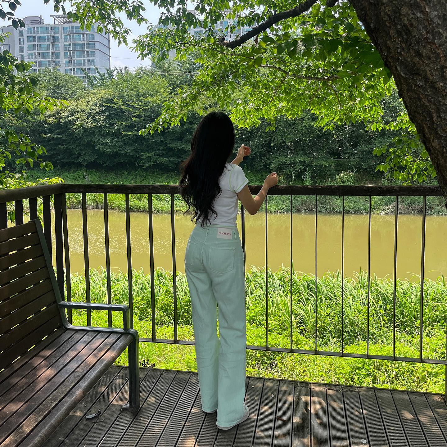 비와서 물도 초록색