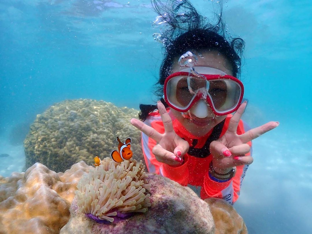꼬르륵 꼬르륵🐟🪸
쫄보탱인 내가 바다에서 수영을 할 수 있을 지 나도 몰랐다🤪 .
.
귀여운 니모들이랑😉