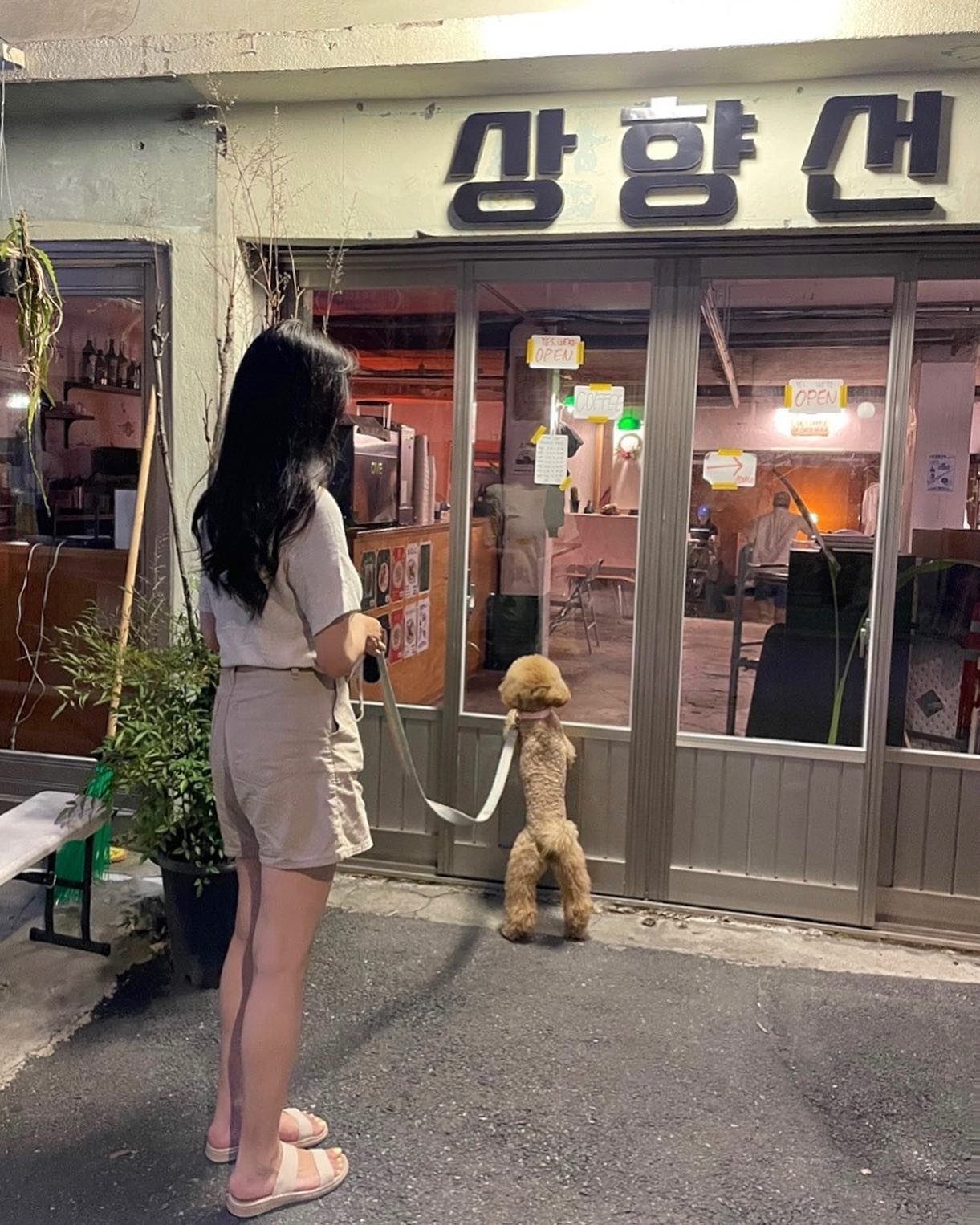 긴 다리로 빼꼼 🐶