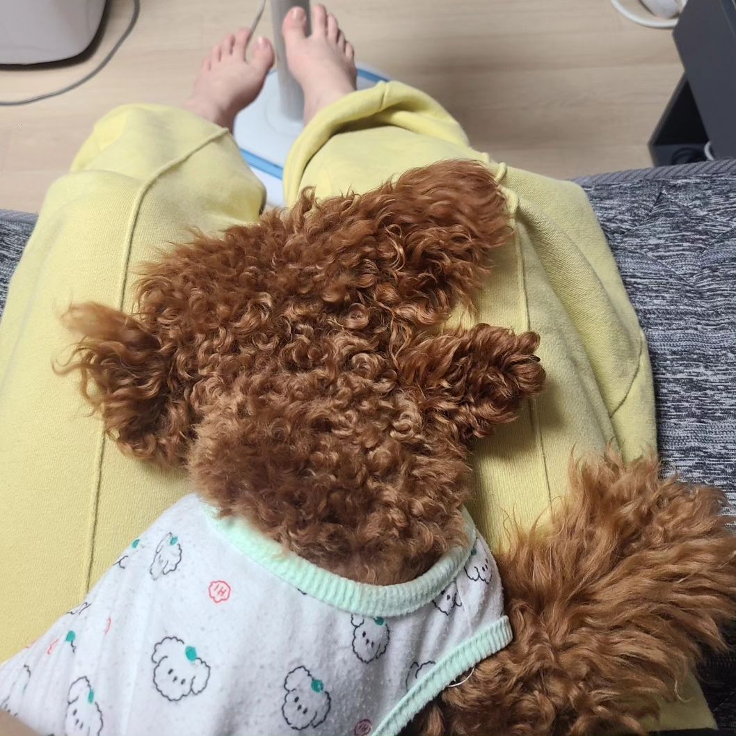 더우니까 선풍기 한대로
사이좋게 바람을 붕붕 🥹..
비가 진짜 무섭게 내리네..?

부추전 하려고 부추 산
어제의 나 칭찬해!!
비오는 날에는 전을 부쳐야쥐