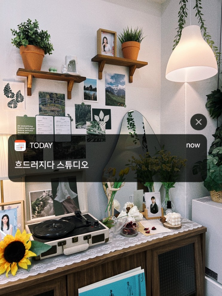 을지로 사진관, 흐드러지다 스튜디오 방문 후기