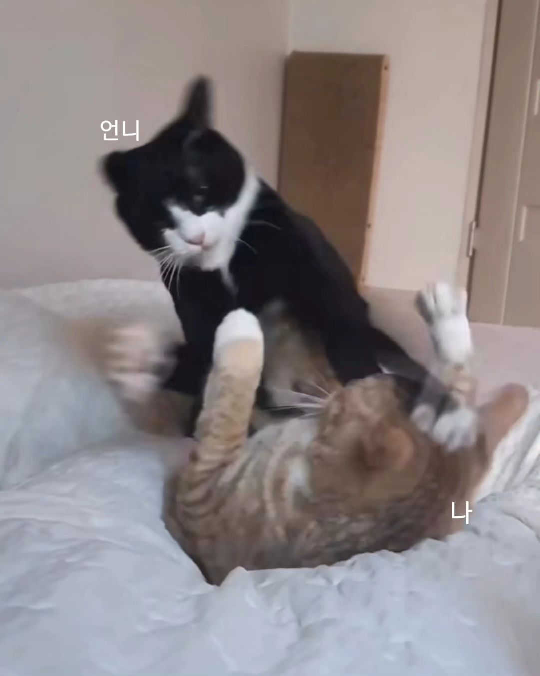 나 의 일 상 🥲