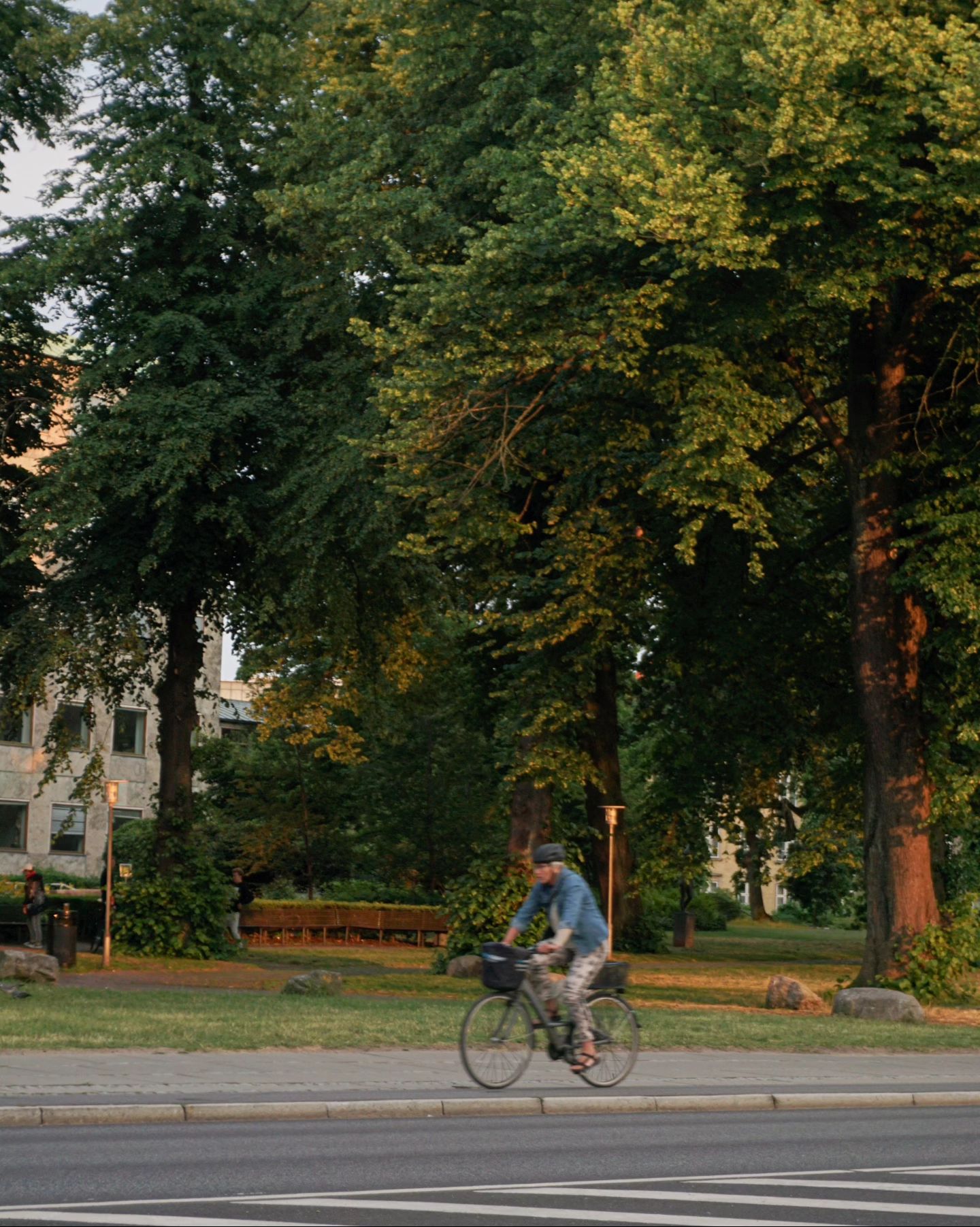 #Denmark 2023 
1. 자전거를 타려거든 자전거국으로 가세요 🚲~🚲~🚲~

움직이며 찍는 스트릿 사진 어렵다 어려워
아직은 셔터누르는것도 미숙해요..!