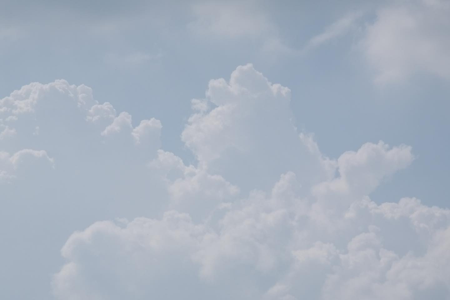 요즘 같이 구름 이쁜 날은 카메라를 들고 싶다구요 ☁️ (feat. 알린 💚)