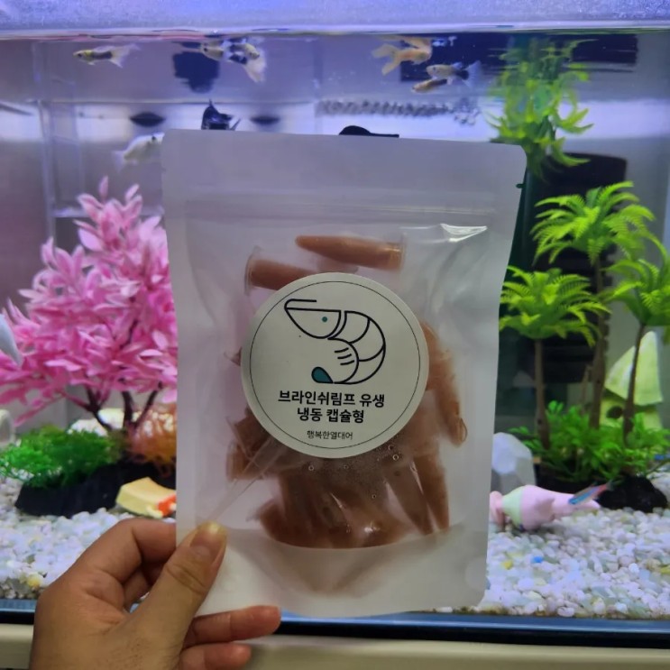 [제품 리뷰] 치어 먹이 고민하지 말고 행복한 열대어에서 골라보는 건 어때?
