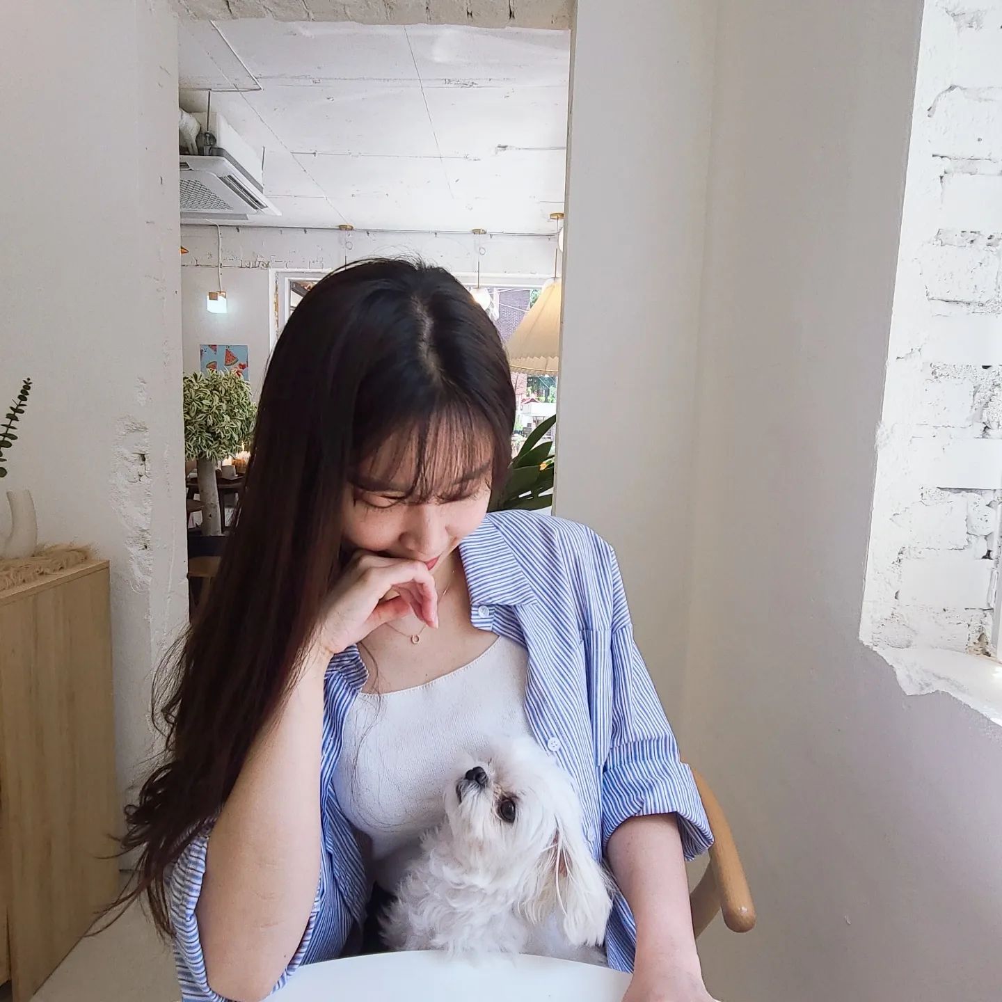 너가있어 엄마아빠는 너무 행복해🥰🥰

#맞팔멍팔 #멍팔맞팔🐶  #멍스타그램🐕 #댕팔맞팔환영 #말티스타그램🐩 #강아지일상 #강아지그램