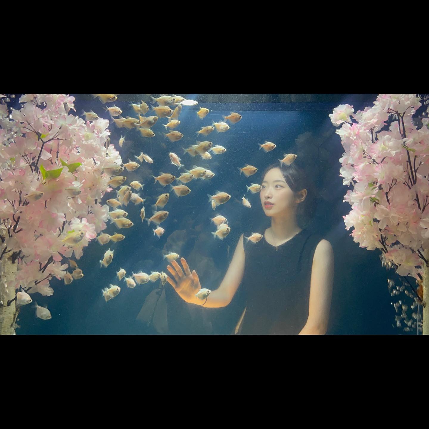 앍우아리움 #처음가봄히히
