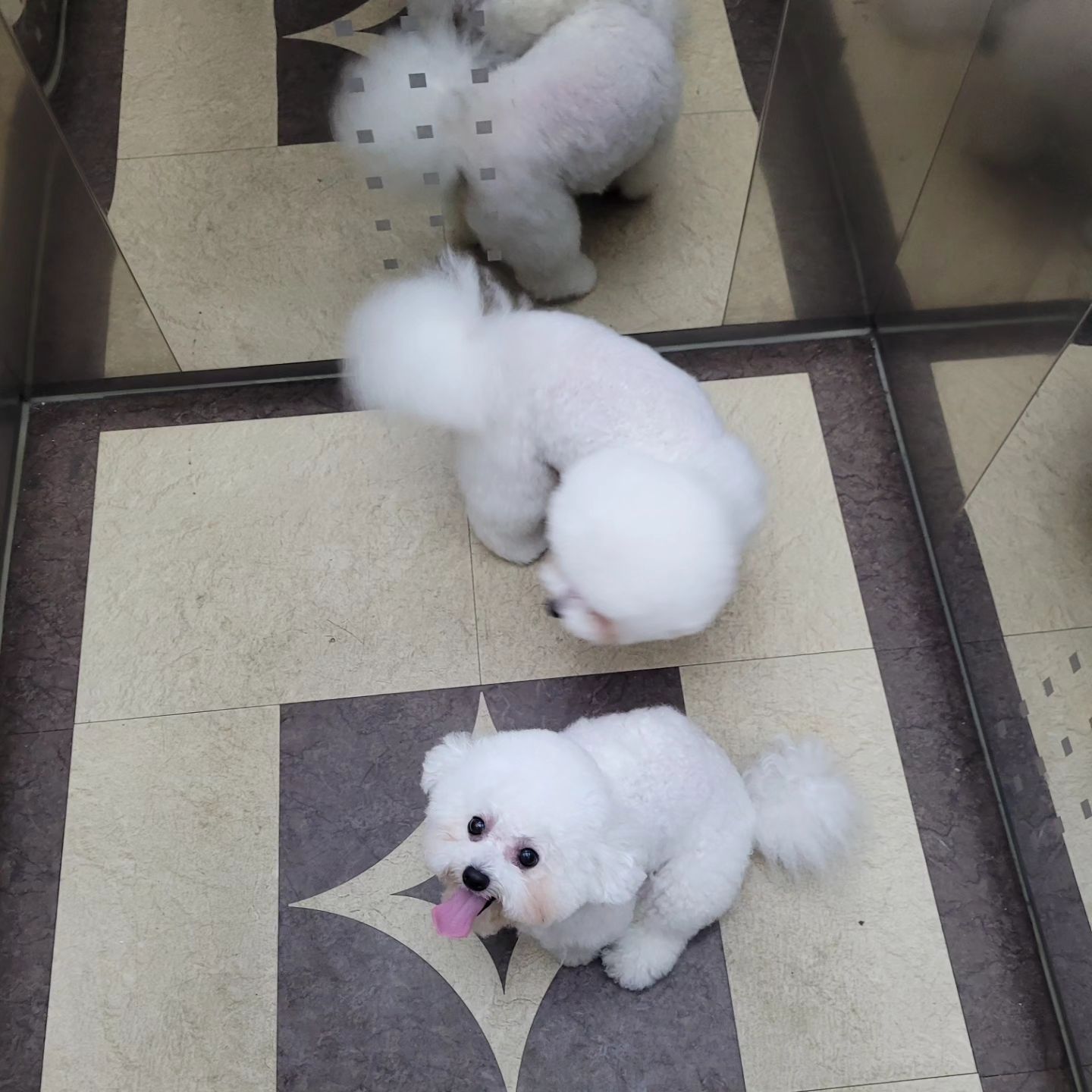 케껙 더워더워 
더워 줔것다ㅜㅜ