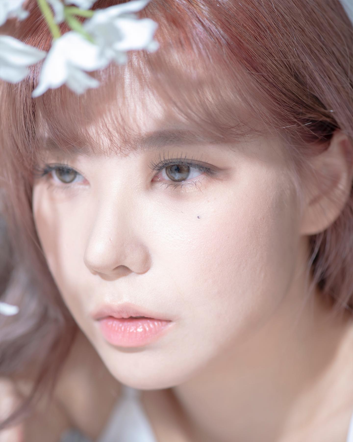 콘텐츠