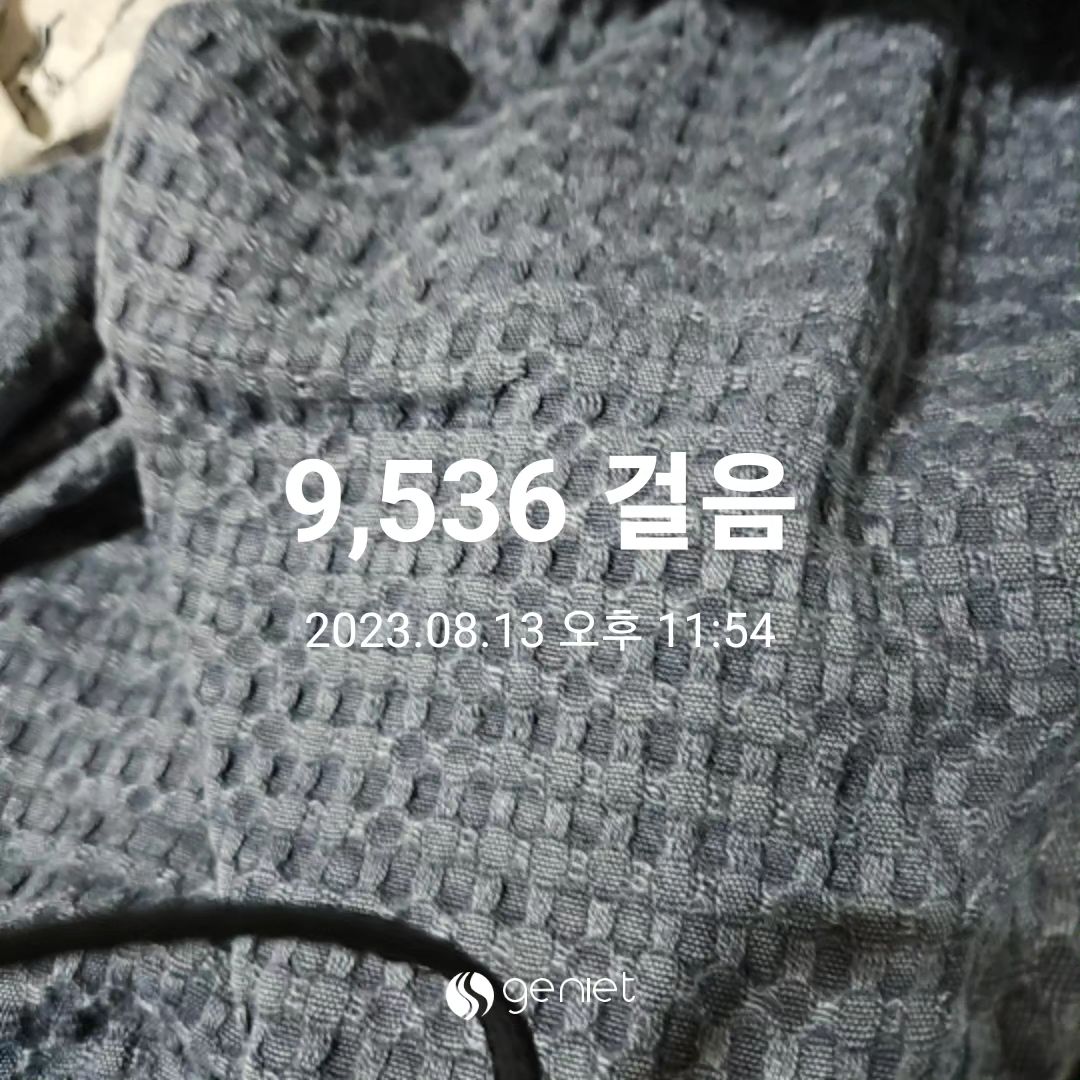 #지니어트 #지육챌 #다니어트챌린지 #다이어트일기 #유산소운동

13일에는 1만보도 못찍었구나 ㅋㅋㅋ