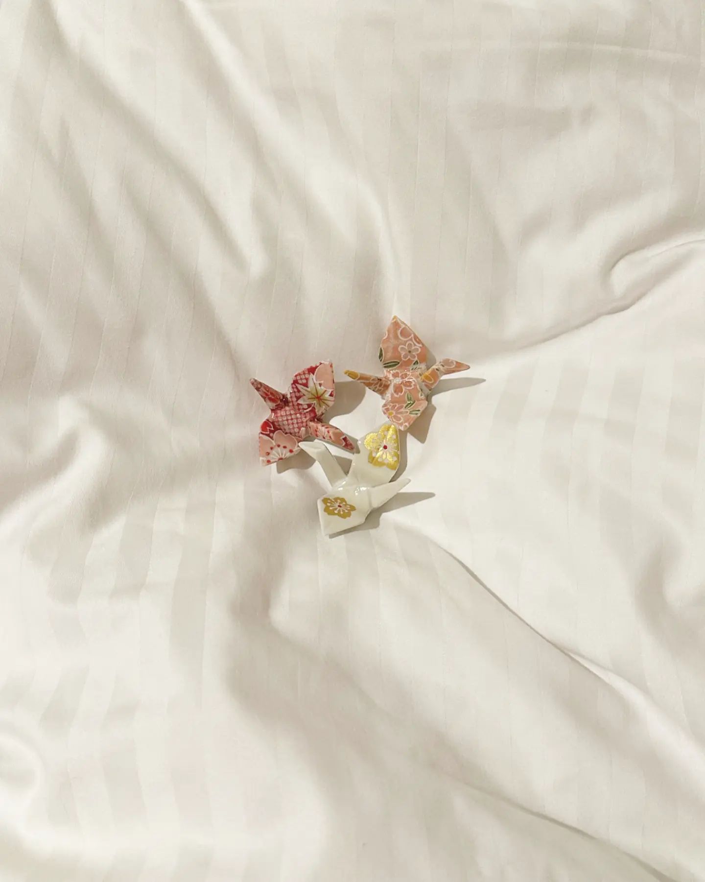 🕊

-

-