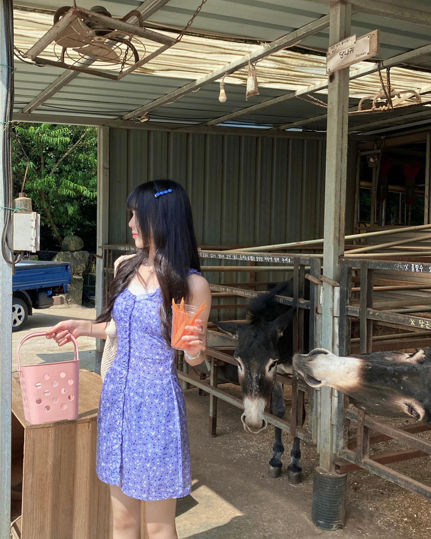 옆에 말 너무 웃겨