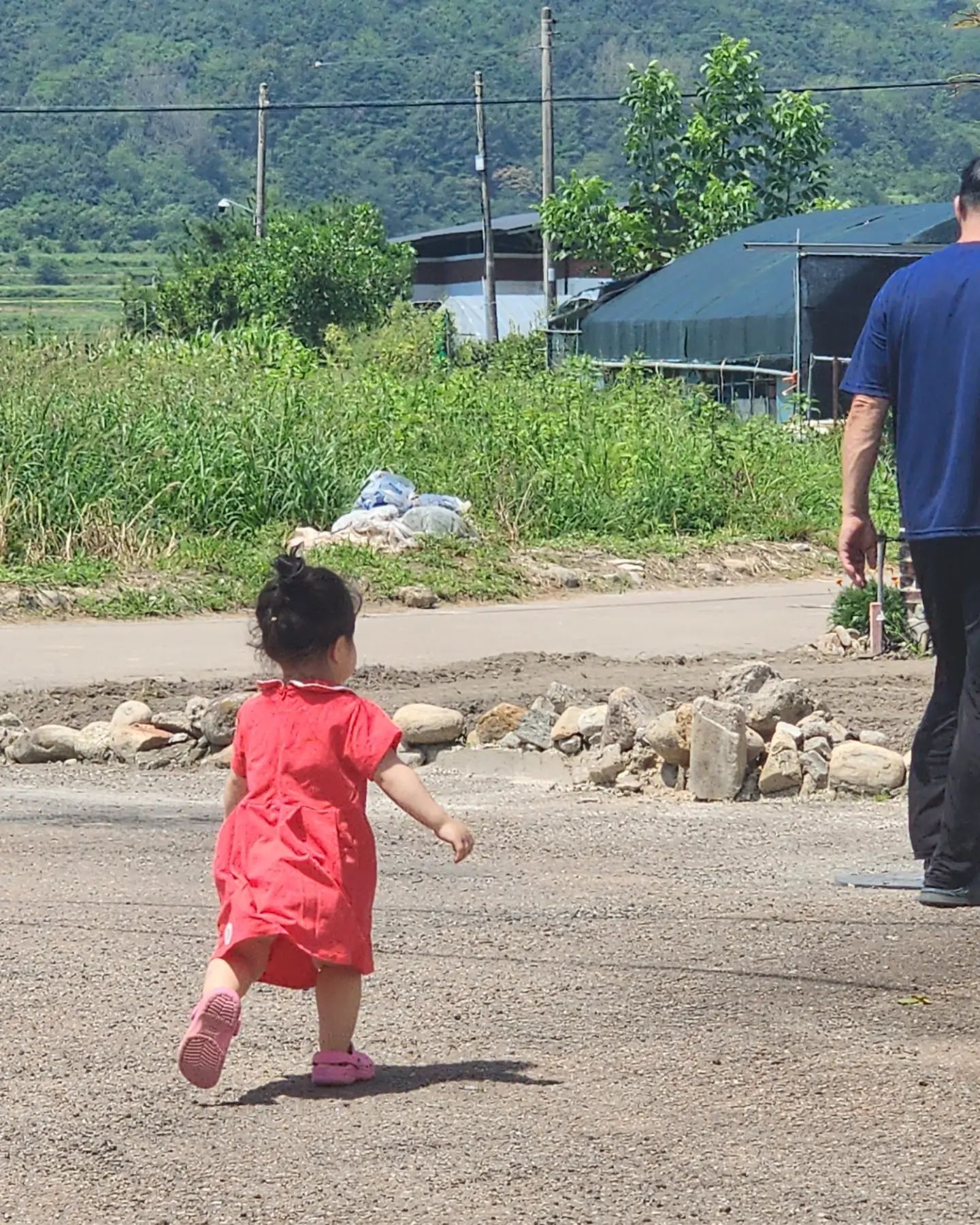 하아부디~ 같이 가요오~~👨‍🦳👧

#똥꼬발랄 #귀여워😆 #시골1탄