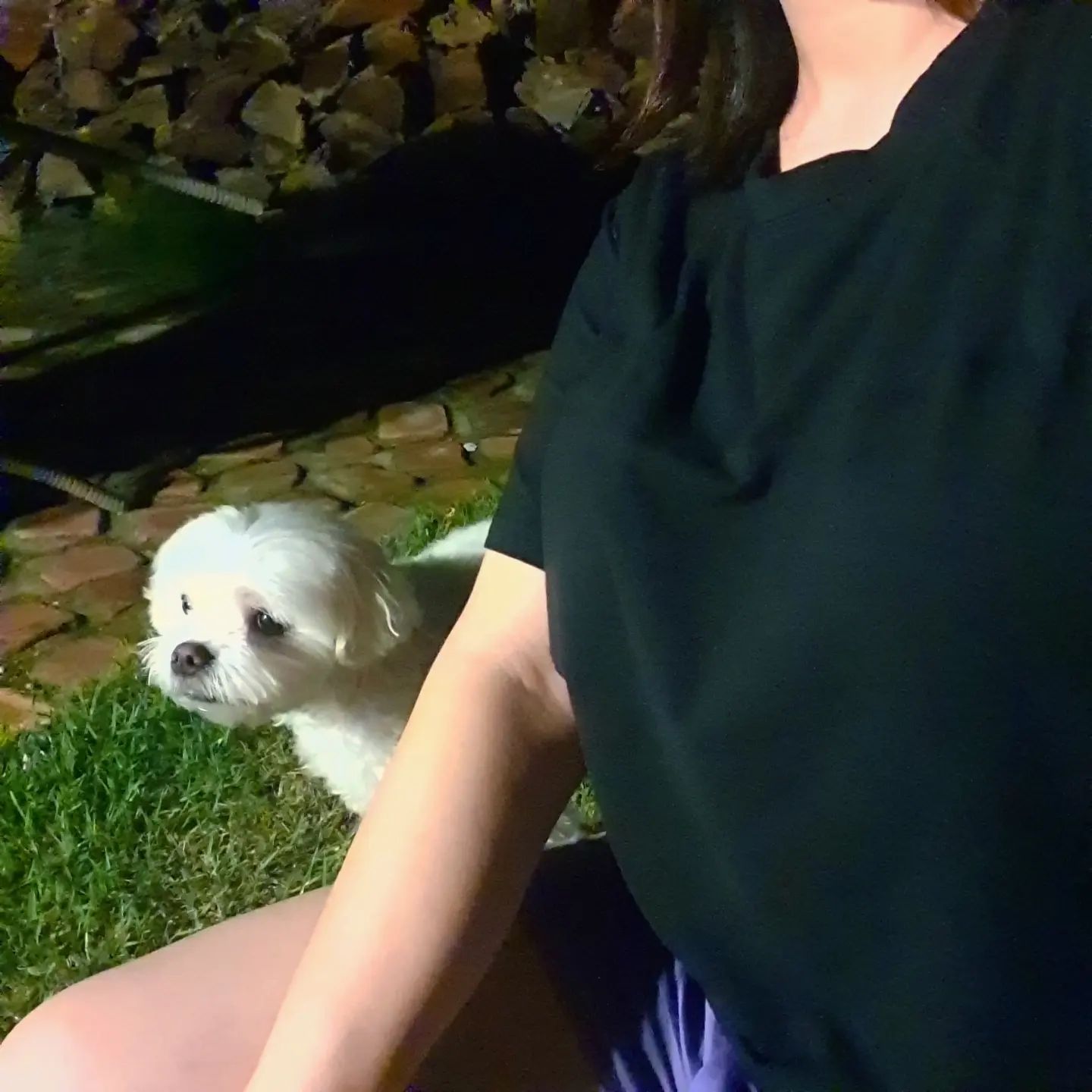 #협찬
[자연생각] 노노브라 반팔 티셔츠

캡이 내장되어 편안한 노브라 반팔 티셔츠, 자연생각의 '노노브라 반팔 티셔츠'를 소개합니다.

덥고 습한 요즘 브래지어 착용으로 가슴을 조이는 압박감과 땀참,체온상승이 배가 되는거 같아요 
집안에서나 가볍게 밖을 나갈때라도 편안함을 누리고 싶은데요.
40수의 고급면을 사용하여 부드러운 감촉과 소프트 캡이 내장되어 있어 간편하게 하나만 가볍게 입고 밖을 나갈 수 있었어요!

#노브라티 #노브라티셔츠 #노브라 #노브라티추천 #브라티셔츠 #캡내장티셔츠 #노브라반팔티 #강아지산책 #반려견산책
