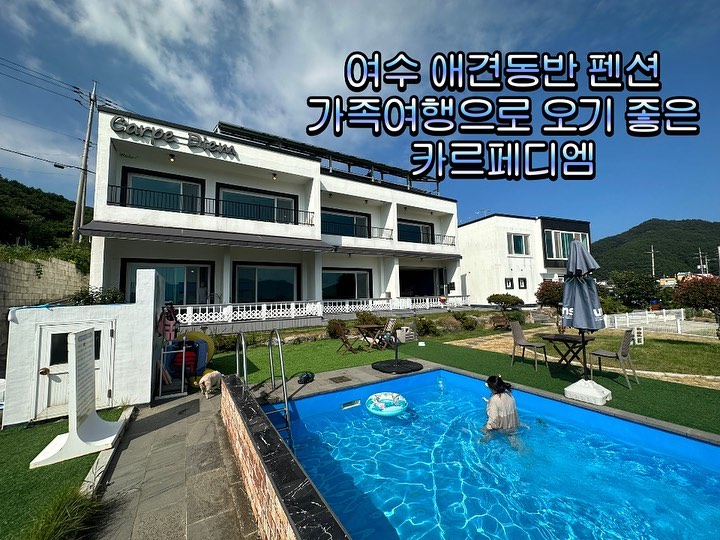 #여수카르페디엠펜션 #가족여행

8월 가족 여수 여행 다녀왔어요😊
강아지와 아이들 모두 함께 행복하게
놀 수 있었던 #여수펜션

강아지 3마리에 유아2, 성인 7명 대식구라
숙소 구하기도 조금의 어려움이 있었지만
열심히 써치해서 찾은 곳❗️
완전 만족했던 펜션이라 1박하고 2박 문의할뻔 했어요😆
인원수 많은 방이라 냉장고도 커서 음식 넣기 넉넉하고
그릇, 냄비, 식기구, 전자레인지, 인덕션 전부 준비되어 있어요
야외 바베큐장에도 냉장고, 정수기, 커피머신, 전자레인지가 있고 옷 말릴 탈수기도 있어요
조미료는 소금, 고춧가루, 식초, 간장,식용유, 참기름, 설탕 등과 젓가락, 숟가락, 일회용그릇도 몇개 있습니다

🔻펜션 안내🔻

인원수가 많으면 2층 방으로 배정되요!
저희는 대식구라 가장 큰 203호로 배정되었구요
203호 방은 5인기준방으로 추가 인원시 2~3명 더 가능해요
(2만원 추가비용있고 복층방입니다)
방 안 1층은 넓은 거실과 침대방1, 화장실2
2층 복층에도 침대2개와 야외테라스 있음
(야외테라스에서 바베큐 가능)

✅유아는 12개월 미만 = 무료
  12개월 이상 = 1인당 1만5천원

✅강아지 비용 성수기 = 15000원
  비수기 = 1만

✅바베큐장 이용 비용: 숯불바베큐 2만원부터~
(인원수에 따라 숯불양때문에 금액이 달라짐)

203호는 복층으로 2층 밖 테라스에서 바베큐가 가능해요
가스불판 사용 2만~2만5천

펜션 앞에는 야외 바베큐장과 잔디밭, 수영장이 있고
뒷쪽에는 강아지들이 뛰어 놀 수 있게 작은 잔디운동장이 있어요

1층 방을 이용하시면 앞 부대시설과 뒷 잔디운동장과 다이렉트로
연결되어 있어서 더 편리해 보였어요
(2층방이 오션뷰라 더 예쁘지만 부대시설 이용할때마다
계단 이용해야 아쉬웠음ㅠㅠ)

수영장은 사람, 강아지 동반 입수 가능하고
구명조끼와 튜브가 준비되어 있어요
테이블도 옆에 있어서 물놀이 후 간식 먹기 좋음😋

물놀이 신나게 하고 펜션 뒷쪽 잔디운동장에서 뛰어 놀고
샤워장으로 고고싱~

펜션 내에는 강아지 샤워장과 펫드라이룸 기계들이 준비되어
있어서 너무 편리해요
아이들 놀이기구도 몇가지 있어서 엄마와 저는 강아지 씻기고
말리는 동안 조카들이 놀기에도 좋았답니다 

✅펜션 내 부대시설: 수영장, 야외바베큐장, 잔디밭, 잔디운동장, 강아지샤워장, 강아지 드라이방 겸 유아놀이기구방

💫넷플리스 나오는 펜션, 5분거리에 편의점 있어요❗️