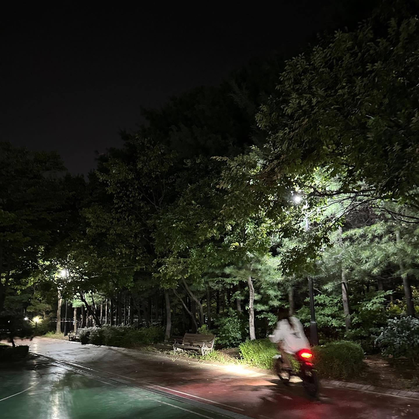 빛보다 빠른 나,, 그리고 충만이,, 
나도 충만이,, 🏍️

#자전거 #오토바이 #그사이 #자토바이 #충만이