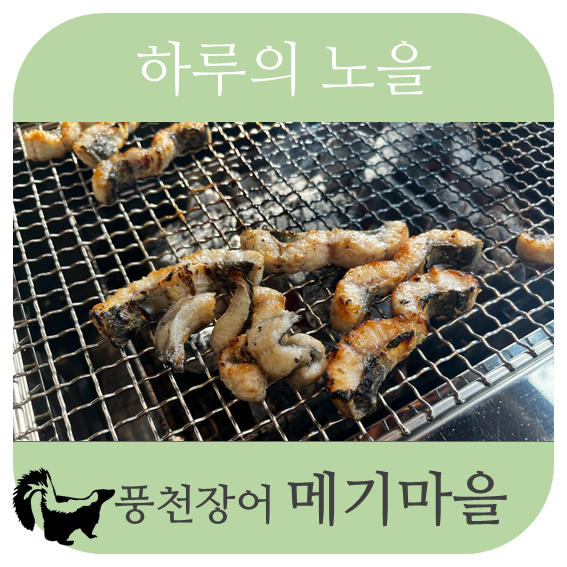 하루의노을 _ 05 풍천장어 메기마을
