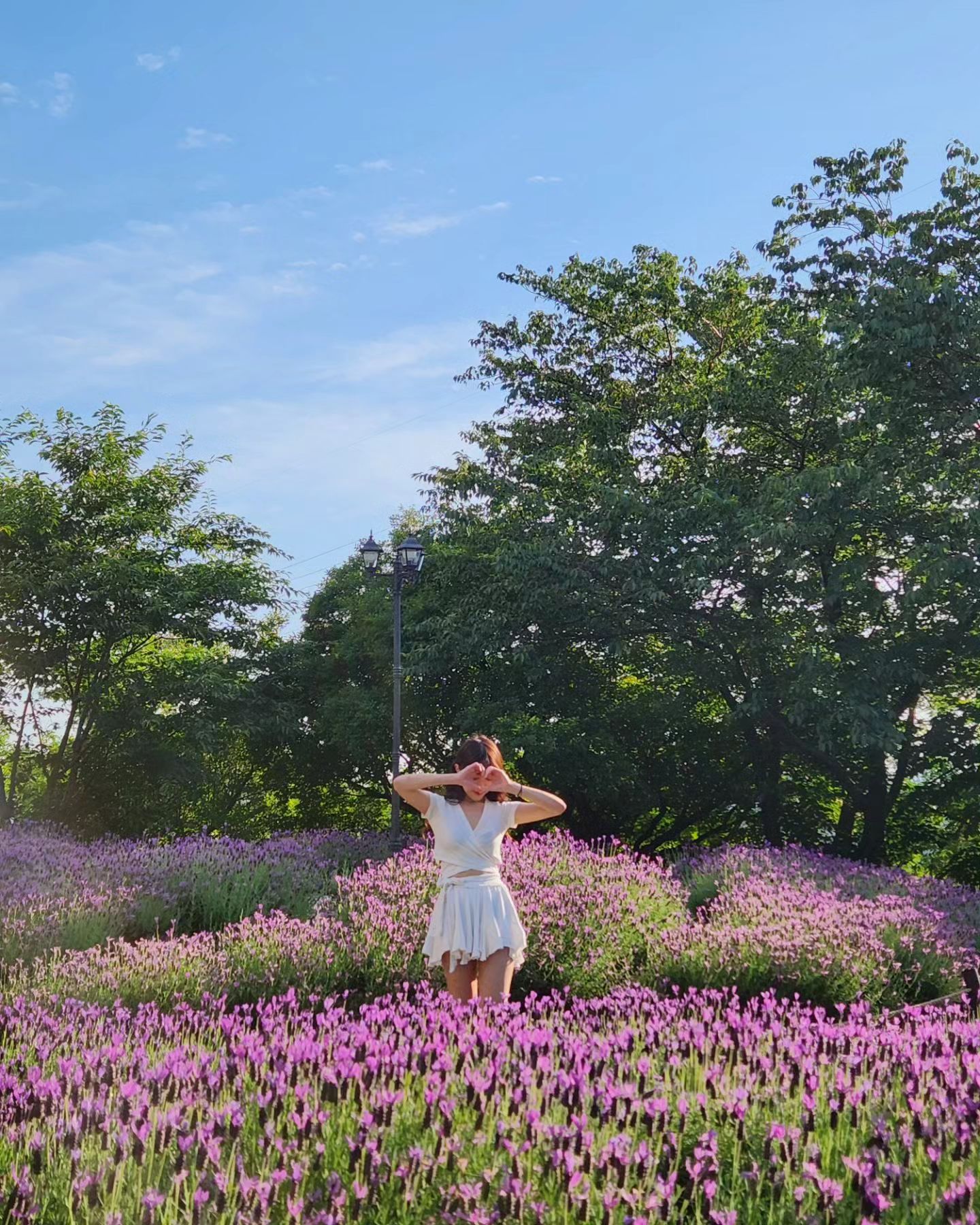 숨은 꽃 찾기🌸
