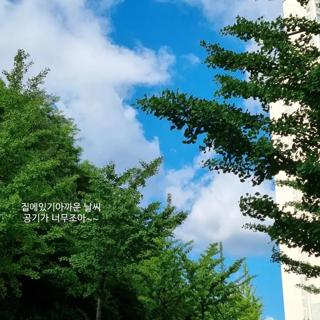파란하늘