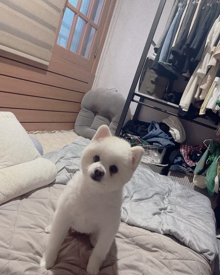 #사랑해_김카케 

올만에 내새꾸 근황 (?) ❤️
무튼 세상에서 제일 사랑스러움 !!