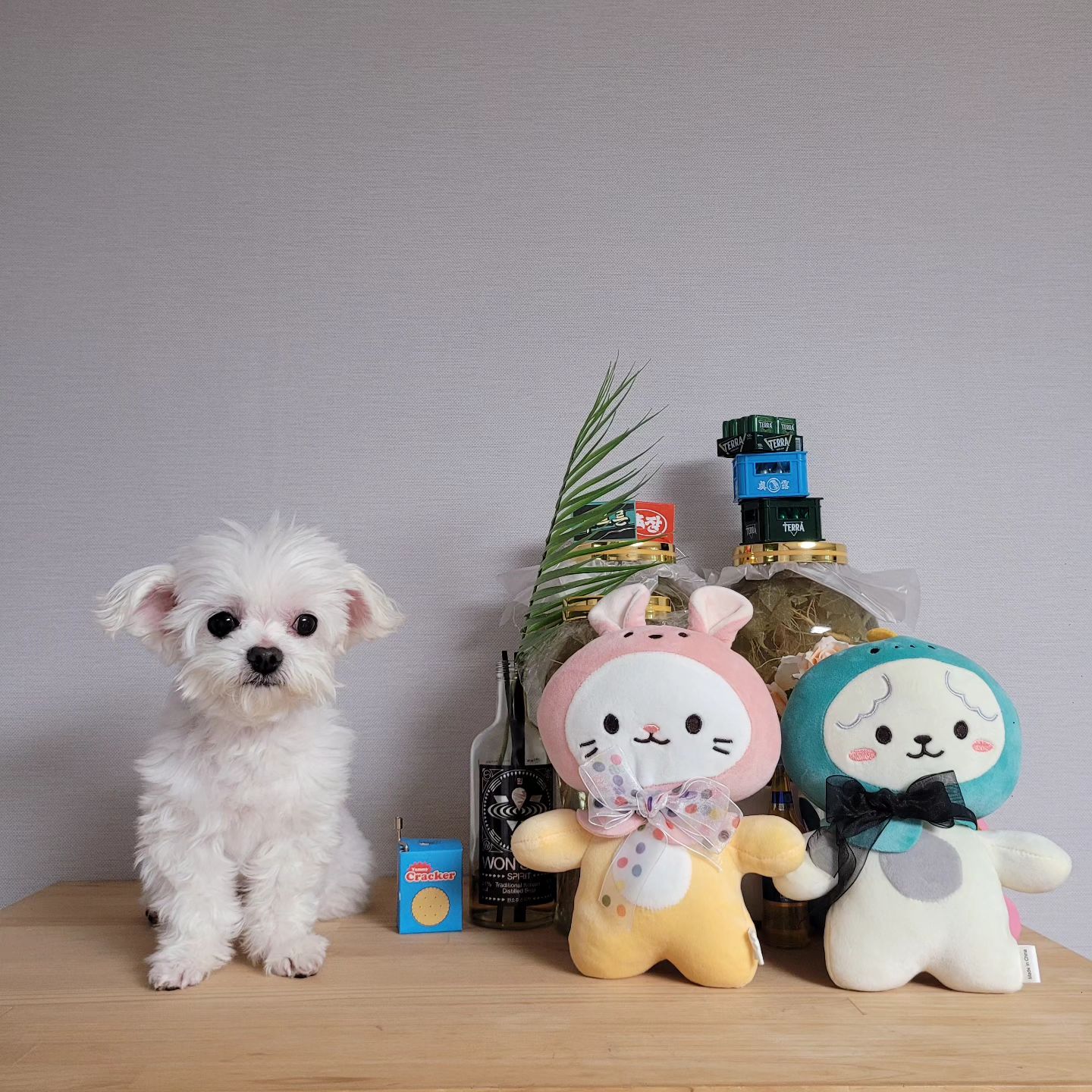 숨은 콩이 찾기 💓