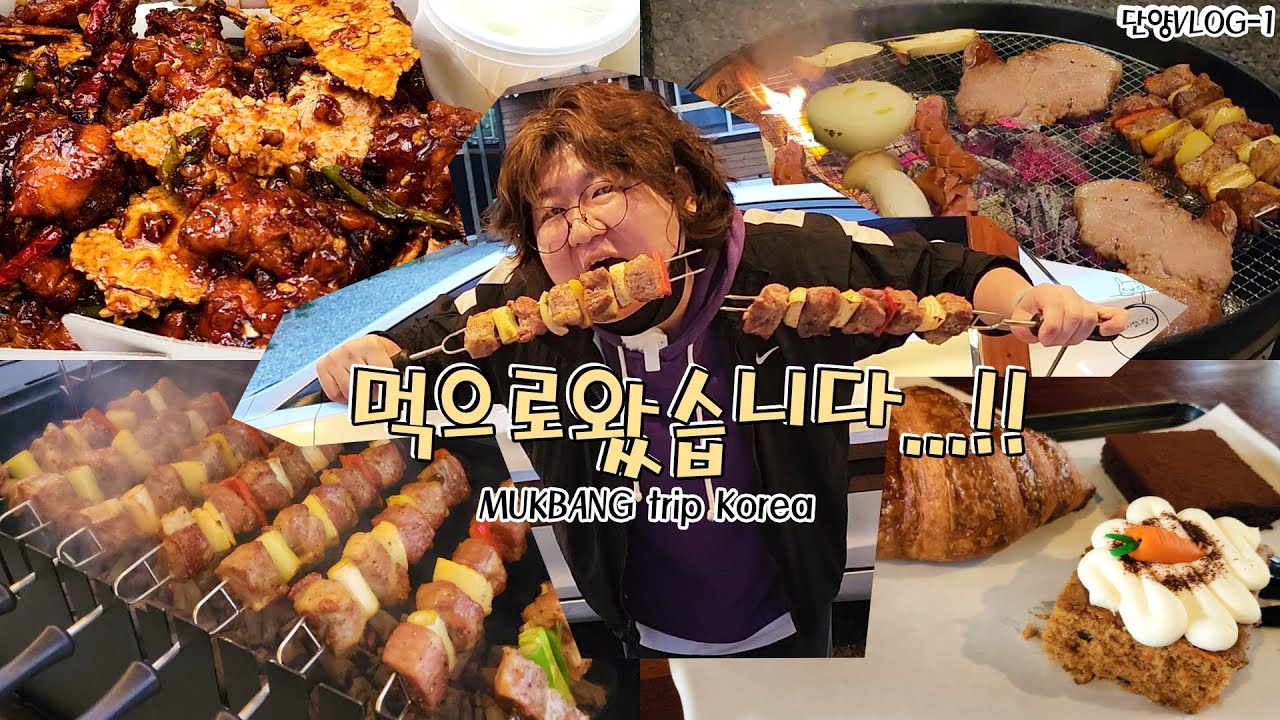 1박2일! 그녀와 첫.... 빗소리까지 완벽했던 단양 여행!! Ep1. (feat.북단양리조트) ㅣ흑마늘닭강정 ㅣ 바베큐파티 ㅣ어묵탕 먹방 술먹방 Vlog Mukbang