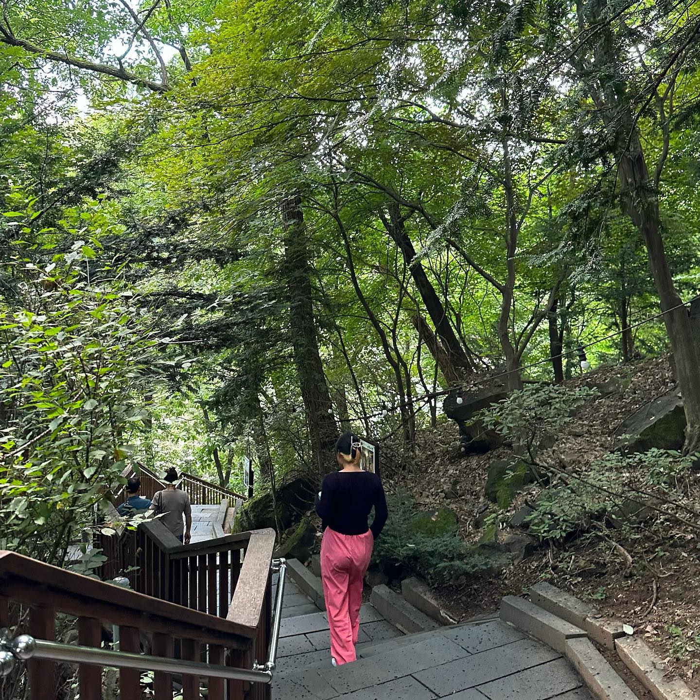 분홍색 엉덩이