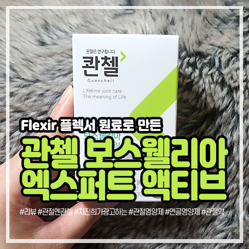 flexir 플렉서 원료로 만든 관첼 보스웰리아 엑스퍼트 액티브, 관절엔관첼