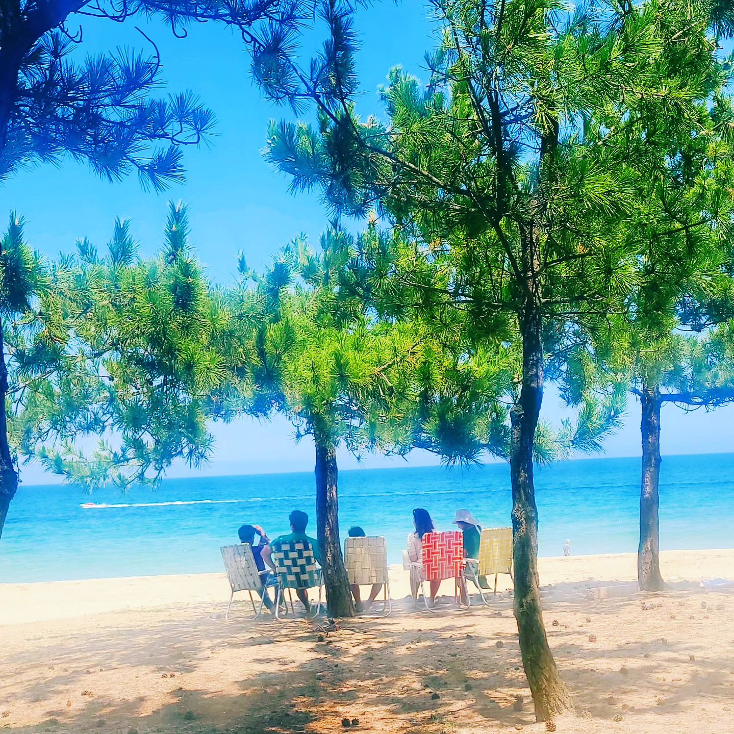 #날씨좋은주말☀️ 
#송정솔숲 
#바라만바도좋은바다 
#하늘도예쁘고 
#바다도예쁘고 
#사람들도많고 
#주말일상