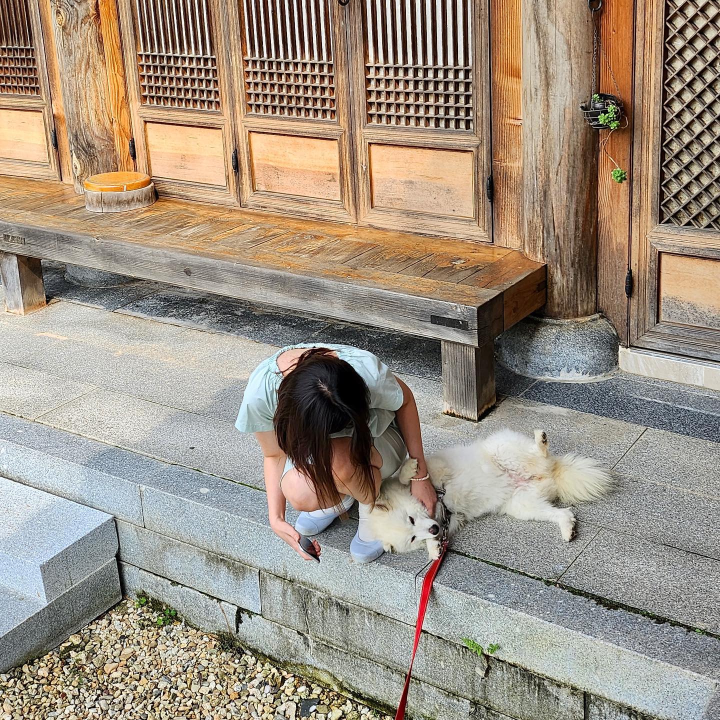 내가 멱살잡은거 아니에여!!
얘가 드러누워서 만져주는중이에요🩵🩵