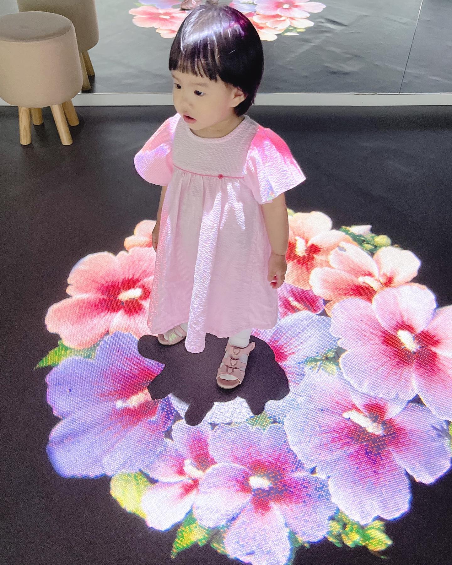 🌸🌺💐🌹🌷🌼