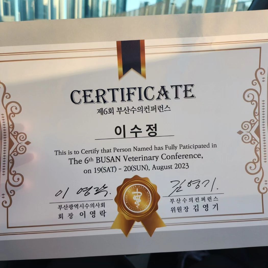 제 6회 부산수의컨퍼런스 수료
2번째 만난 설채현원장님, 냐옹신 나응식원장님 
영양학 왕태미수의사님 , 
그외 오늘 강사님들 전부 반가웠습니당💗
주말 반납하고 갔지만 재밌고 유익한 교육이였어용😆

냐옹신 원장님 퀴즈 정답 5주인데 5주~7주라고 해서... 선물 못 받은거 너무 아쉽🥲