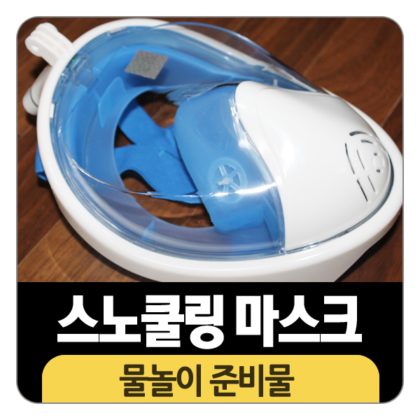 물놀이 준비물, 더나이스 스노쿨링 마스크