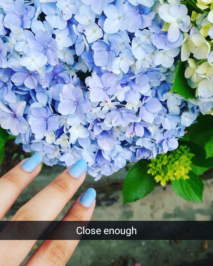 Close enough
#aesthetic #photography #nailpolish #flowers #closeenough #twinning #matching #colours #hues #lavender #flower #photographylovers #photographer #photooftheday #travelphotography #naturephotography #nature #naturelovers #travel #darjeeling #blueflowers #bluefeed #blueaesthetics #aestheticflowers #skyblue #babyblue #nature #natureportrait