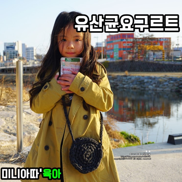 요구르트 유산균 생유산균 맛있게 씹어먹자