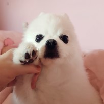 *유하의 일상* : 네이버 블로그