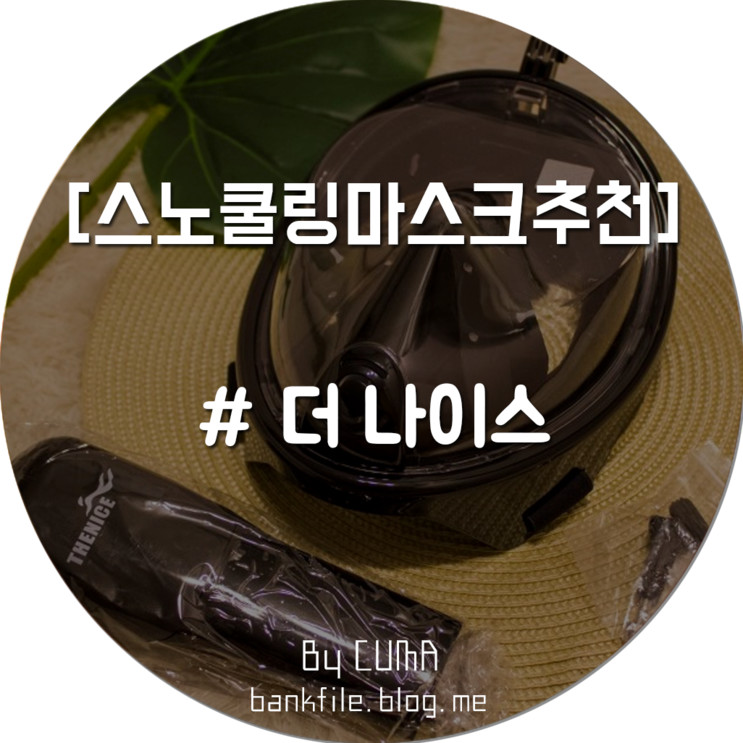 [스노쿨링마스크 추천] 더 나이스 (아주 나이스한 스노쿨링마스크)