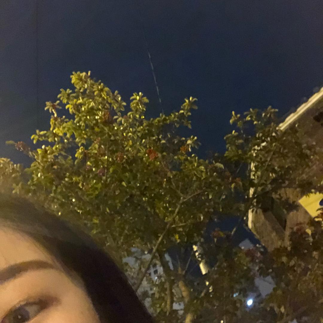 딸기삼비트딸기삼비트