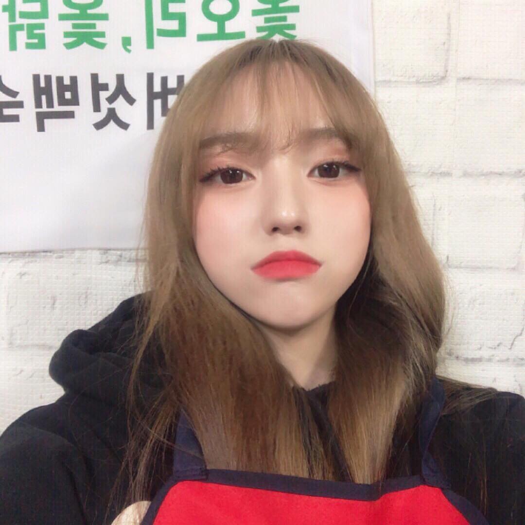 버섯