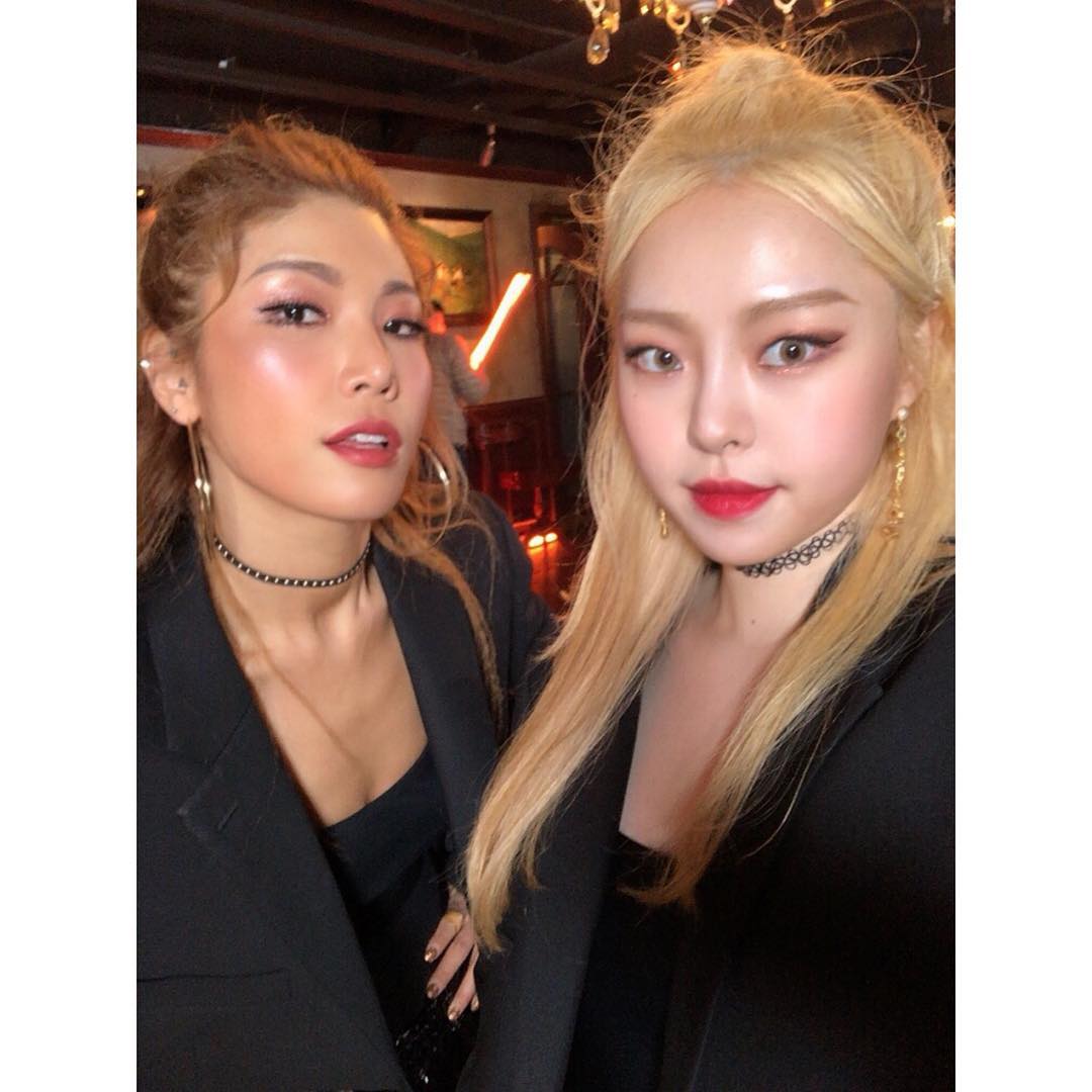 단장님과 즐거운 딩고오오😋❤️
#bessie #베씨 ▶️ https://youtu.be/MenItd1M9xQ

#dingo #딩고 #화사 #hwasa #멍청이 #twit