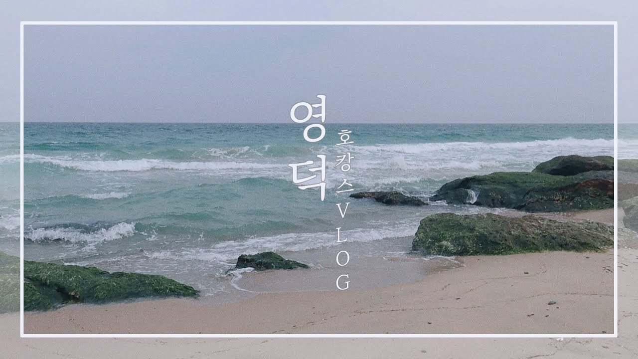 [ 징로그. 31 ] 🦀 개강전 회피성 영덕 호캉스 VLOG 🦀