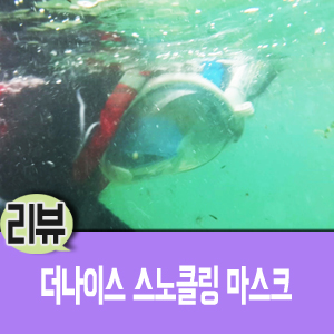 더나이스 스노클링 마스크, 물놀이용품 추천!