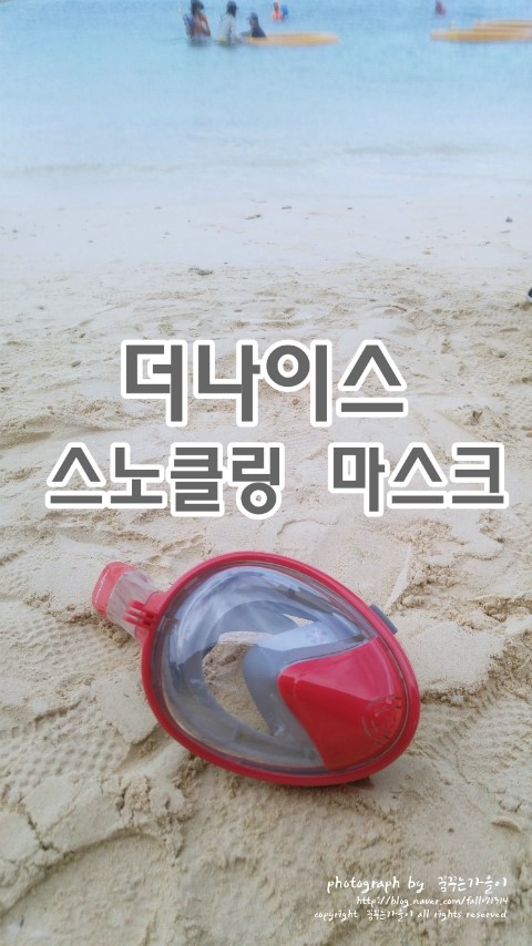 더나이스 스노클링마스크 괌에서도 볼 수있더라고요 :)