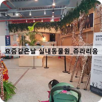 요즘 같은 날 실내 동물원이 제격_ 쥬라리움